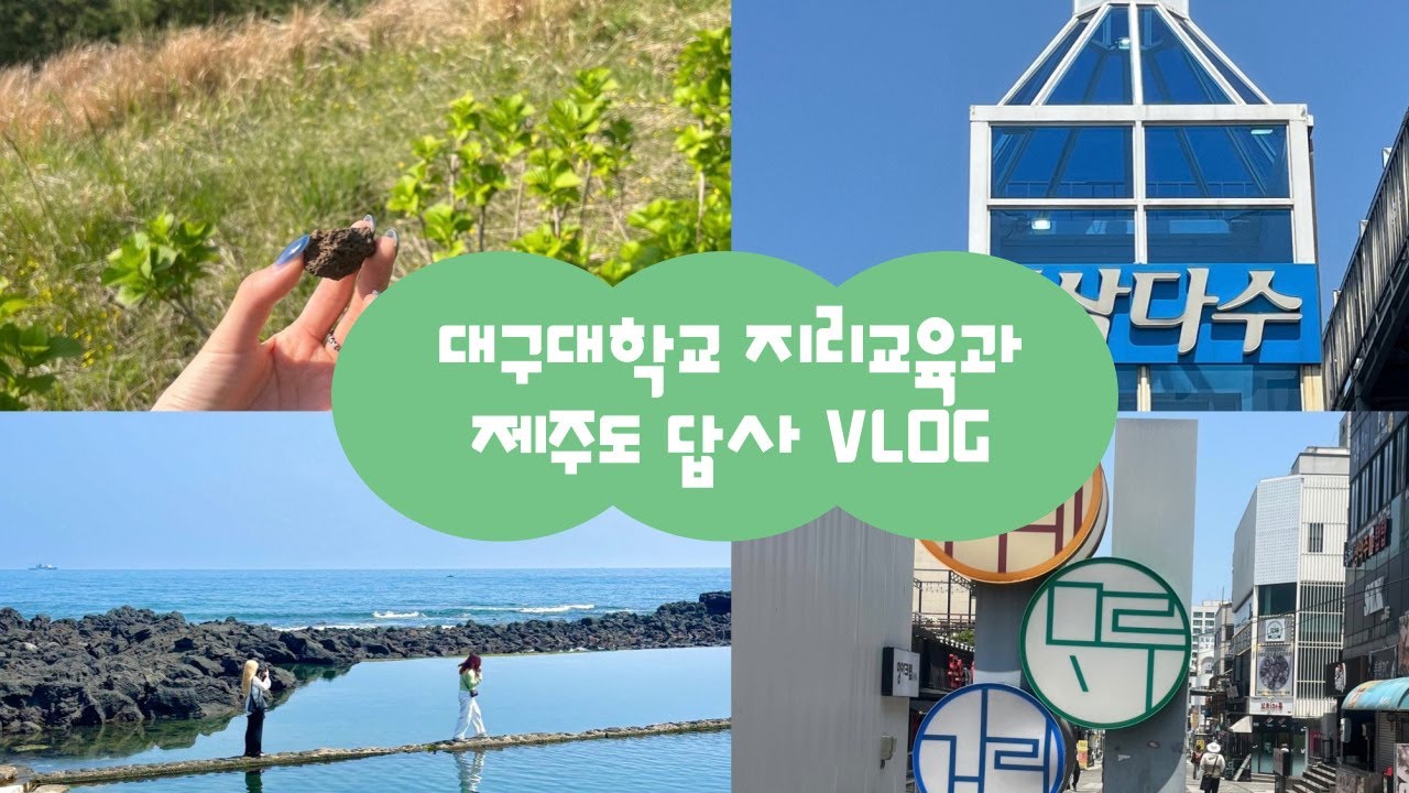 2025 2,3학년 제주도 답사