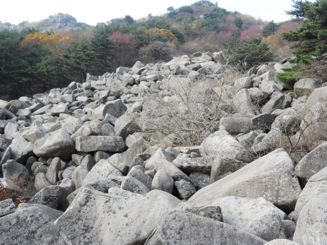 비슬산 답사사진