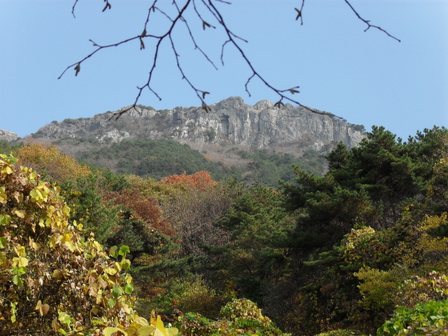 비슬산