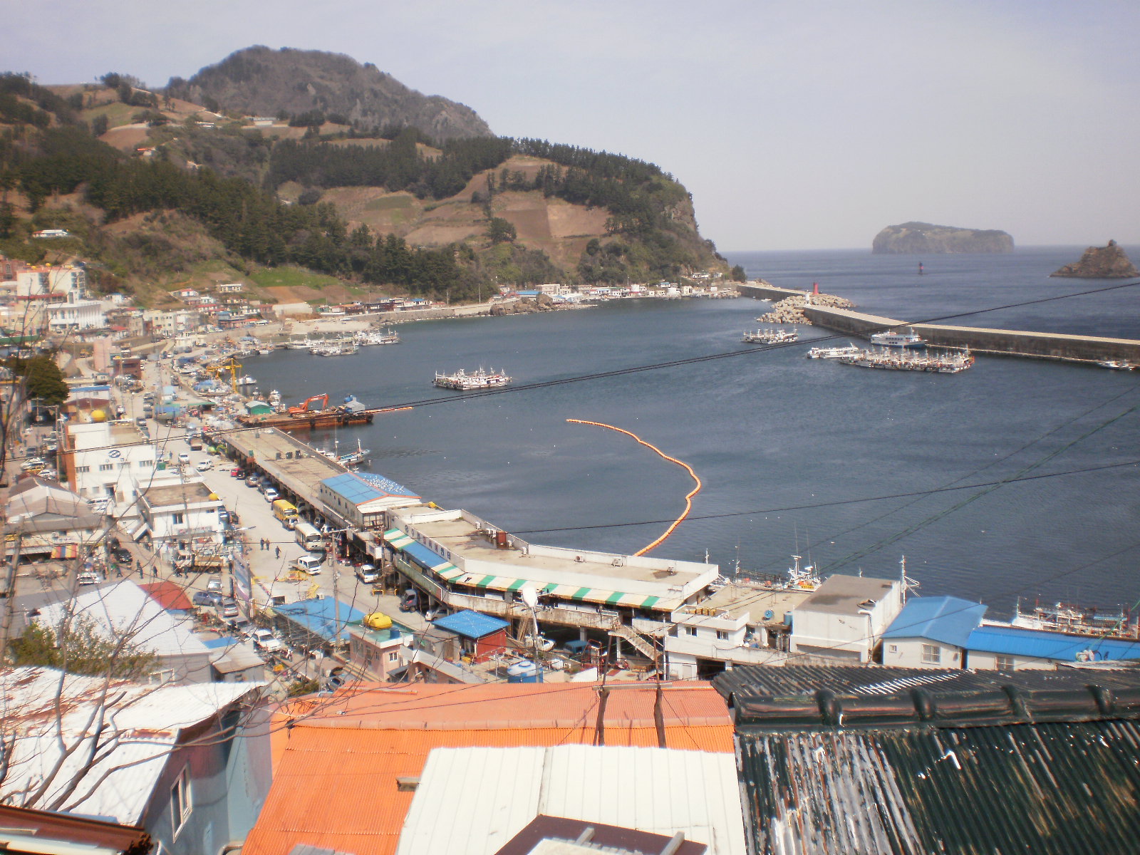 저동항 및 죽도