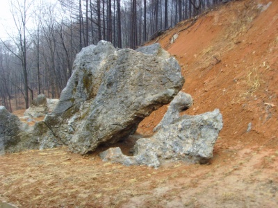 테라로사