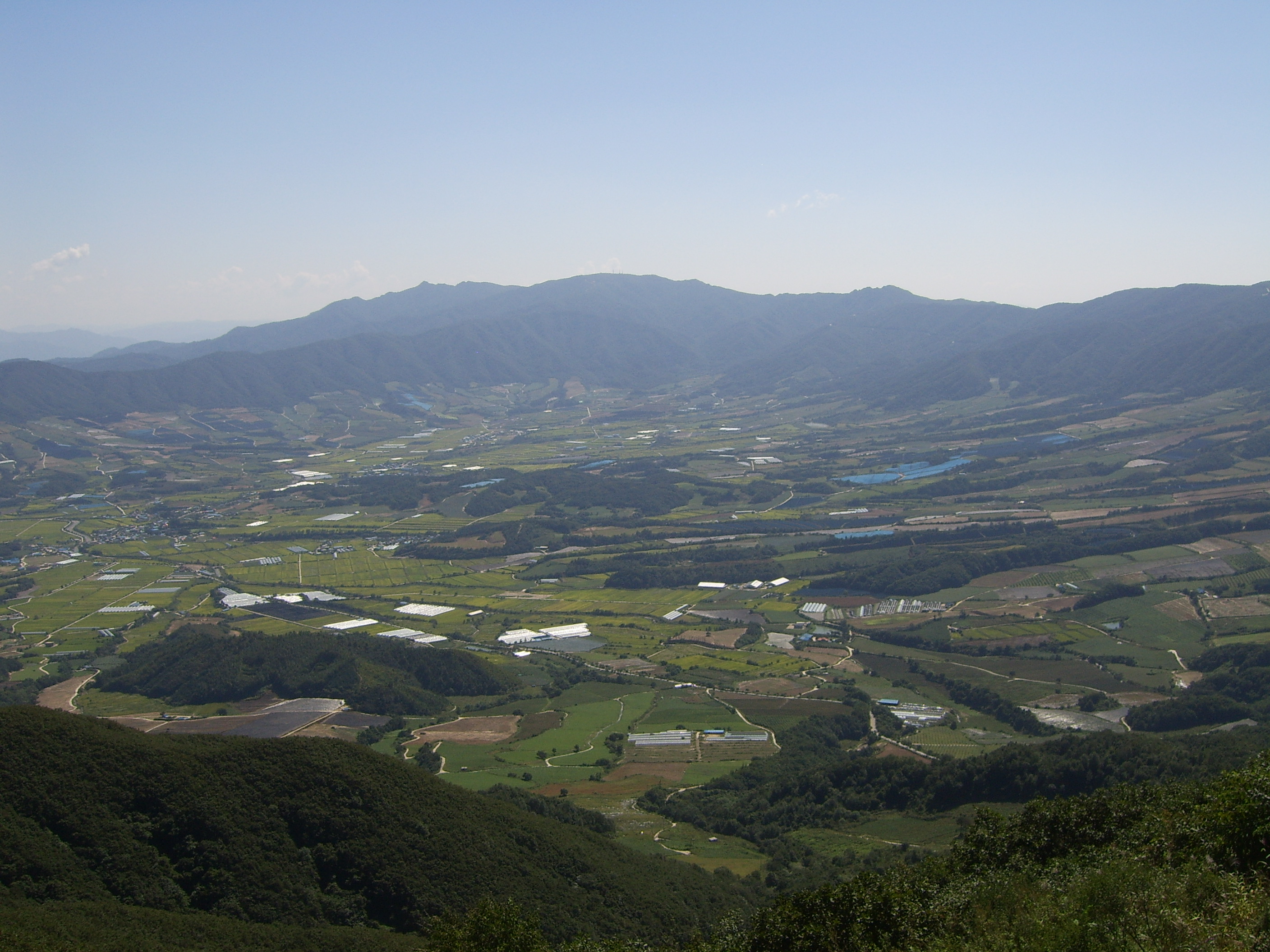 펀치볼
